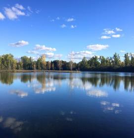 a view acros one of the lakes